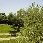 Trikorfo غيراكيني