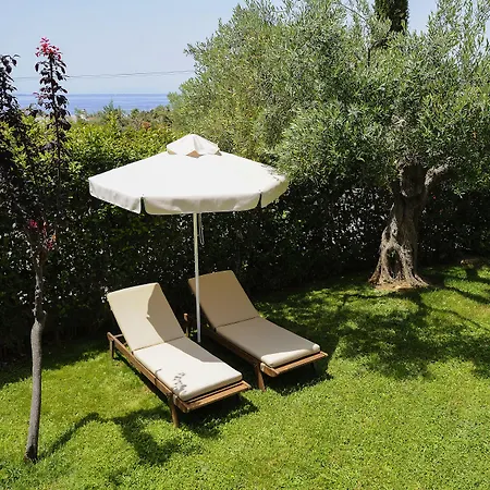 特里考夫海滩酒店