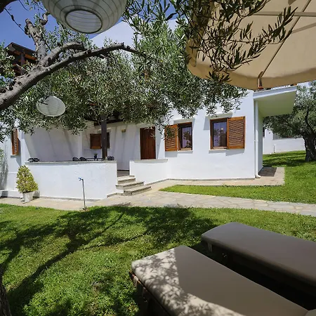 特里考夫海滩酒店 4* 基拉奇尼