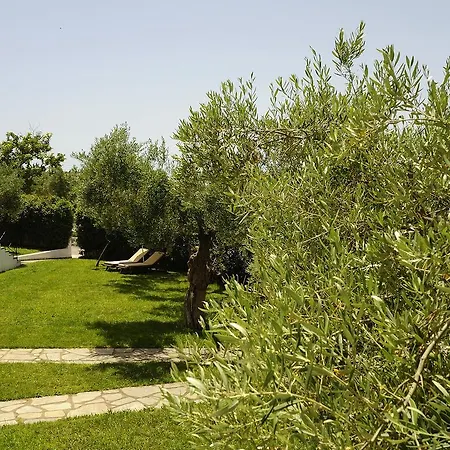 特里考夫海滩酒店 基拉奇尼