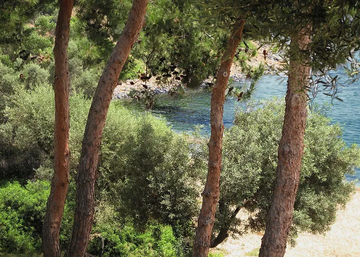 Trikorfo Γερακινή